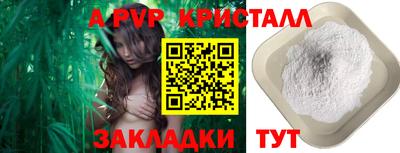 шишки Бийск