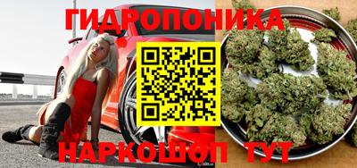apvp Ирбит