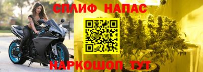 шишки Бийск