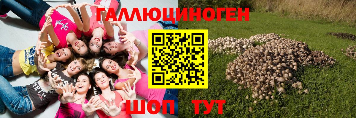 Псилоцибиновые грибы ЛСД  Вход с VPN  Торжок 